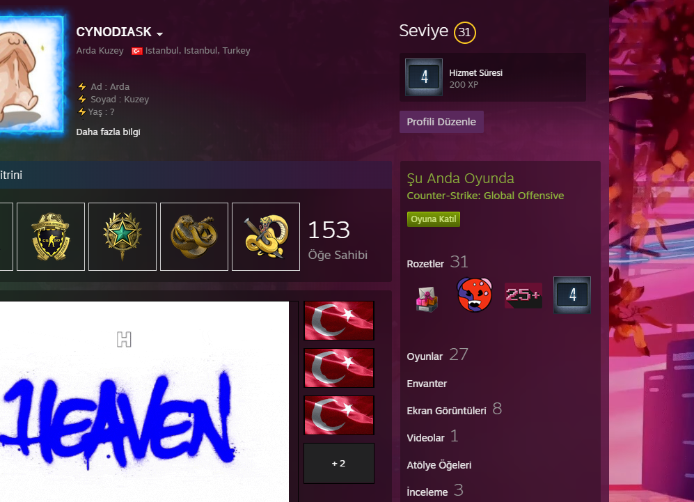 Efsane Steam Hesabi Lvl Csgo Aragam Et Temsat