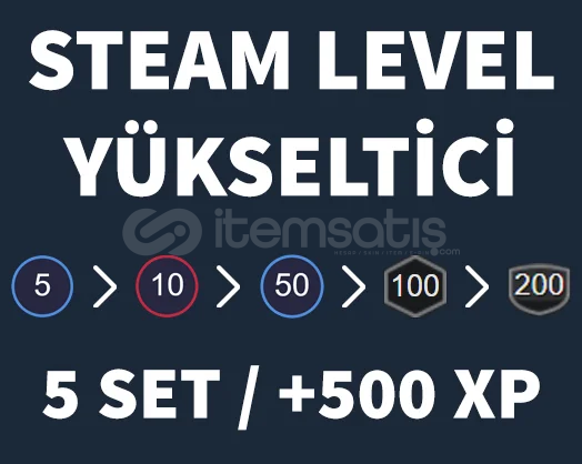 Steam Level Boost 20 Set 2000 XP 1030434 İtemsatış