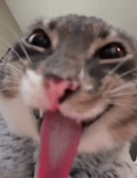 DrWinee