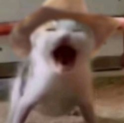 OwerWatch