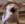 OwerWatch