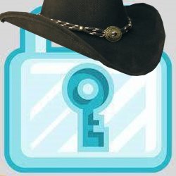 kovboydl