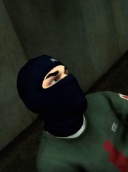 saygicakii