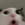 KeynTech
