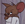 PetcukOwO