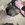 aytug77