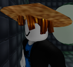 endermail1078pbg