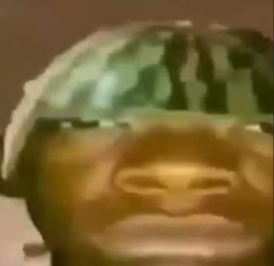 holylox