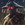 yuraofficial01
