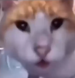 misaakb