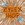 ZylexShop