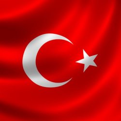servet655