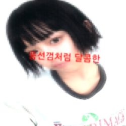 tnltccnt