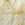 CELESTIASHP