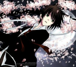 vanitasd