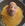 KurabiyeAdam