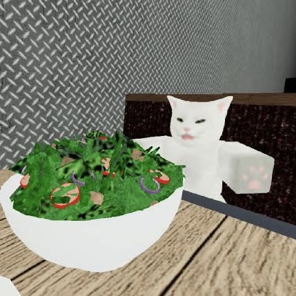 saladcat