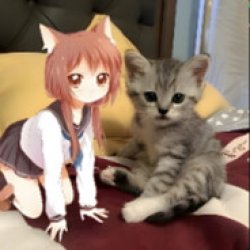 efeekarasuu46