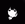Dolphin1391