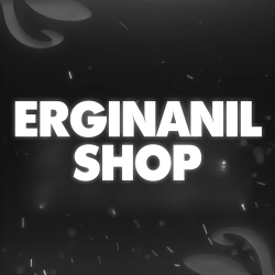 erginanil158