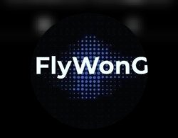 FlyWonG31