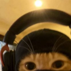 asyaberra11