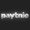 Paytnic