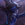 Jeden