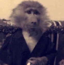 sapsik