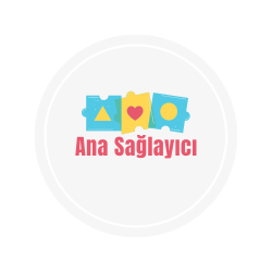 AnaSaglayici
