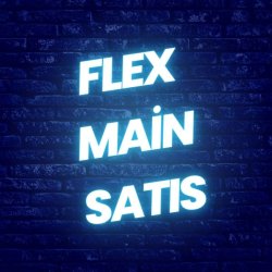 flexmainsatis