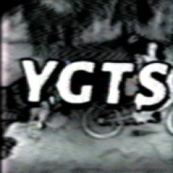 YgtS