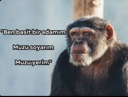 BaskanHuso