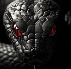 babaprodernegi31