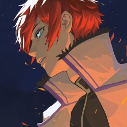 reinhardvanastrea