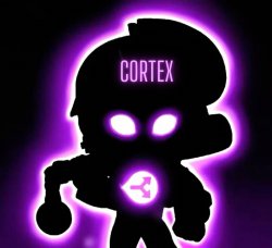 CORTEXBS13