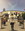 Dogan025