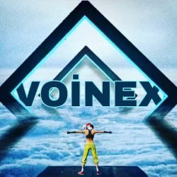 voinex