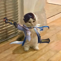 Kedi56
