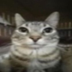 Noodae11