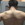 Aposisdex