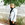 mmtdemir63