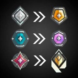 ravzey