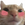 RainbowPisi