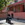 kaplan2008umut