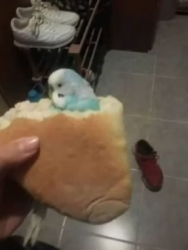 cronelda07