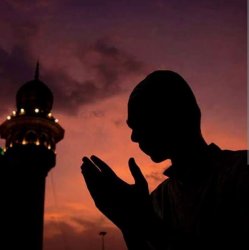 muhammettr46