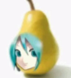 corserap