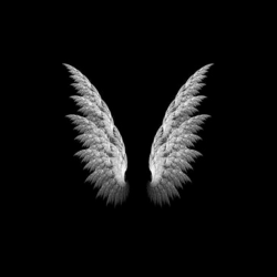 TheAngelShop
