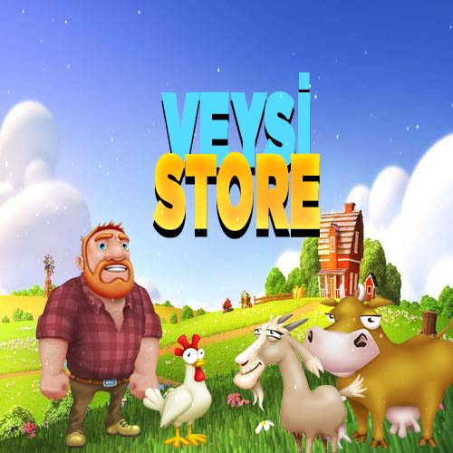 VeysiStore